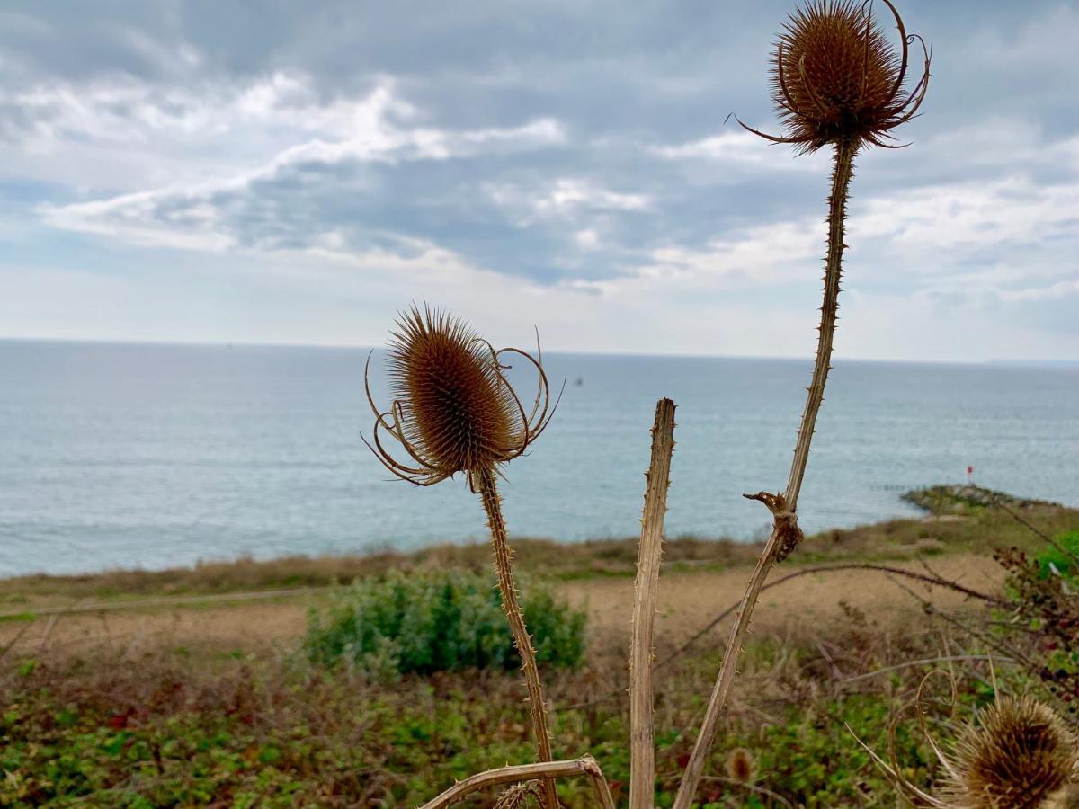 Shorefield Country Park, Where The New Forest Meets The Sea, Passes For All Entertainment Included Milford on Sea Exterior photo