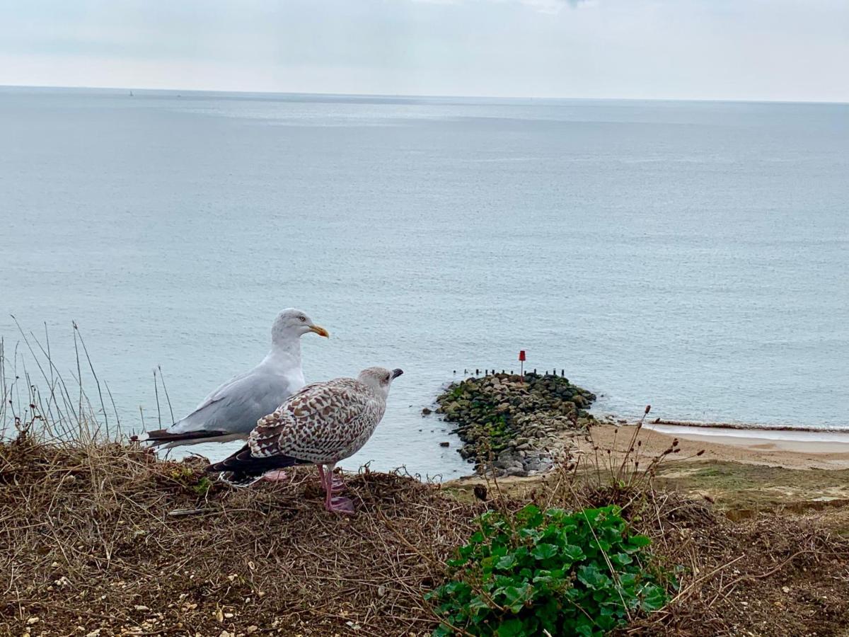 Shorefield Country Park, Where The New Forest Meets The Sea, Passes For All Entertainment Included Milford on Sea Exterior photo
